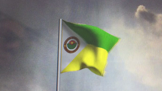 Bandera Institucional