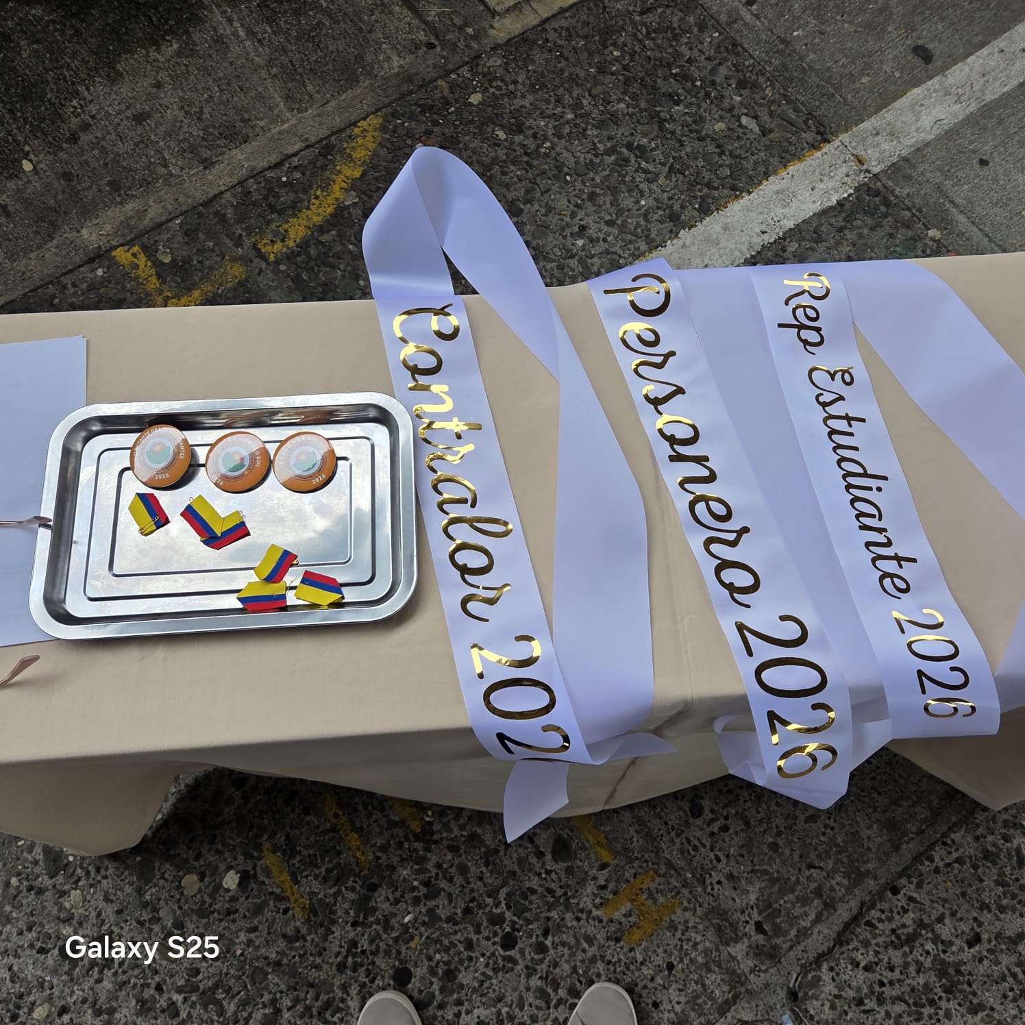 Gobierno Escolar 2026